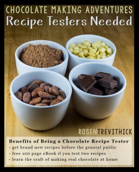 Chocolate Testing Flier